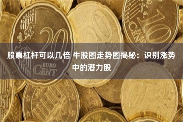 股票杠杆可以几倍 牛股图走势图揭秘：识别涨势中的潜力股