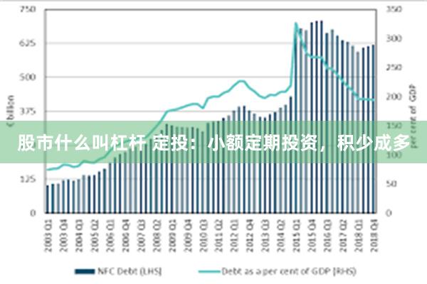 股市什么叫杠杆 定投：小额定期投资，积少成多