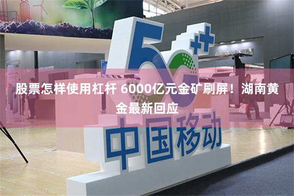 股票怎样使用杠杆 6000亿元金矿刷屏！湖南黄金最新回应