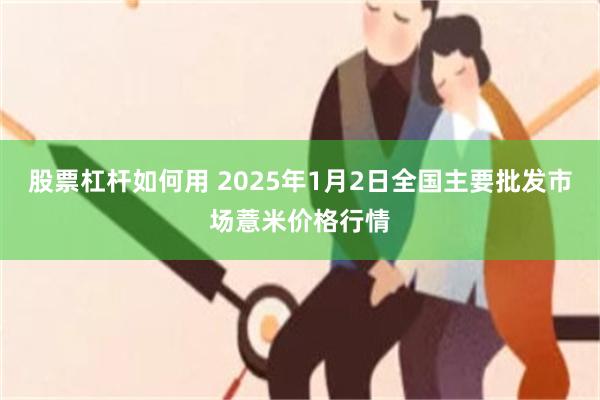 股票杠杆如何用 2025年1月2日全国主要批发市场薏米价格行情