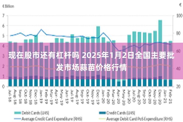 现在股市还有杠杆吗 2025年1月2日全国主要批发市场蒜苗价格行情