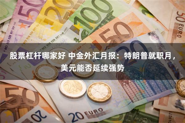 股票杠杆哪家好 中金外汇月报：特朗普就职月，美元能否延续强势