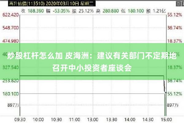 炒股杠杆怎么加 皮海洲：建议有关部门不定期地召开中小投资者座谈会