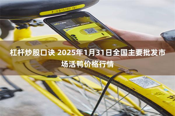 杠杆炒股口诀 2025年1月31日全国主要批发市场活鸭价格行情